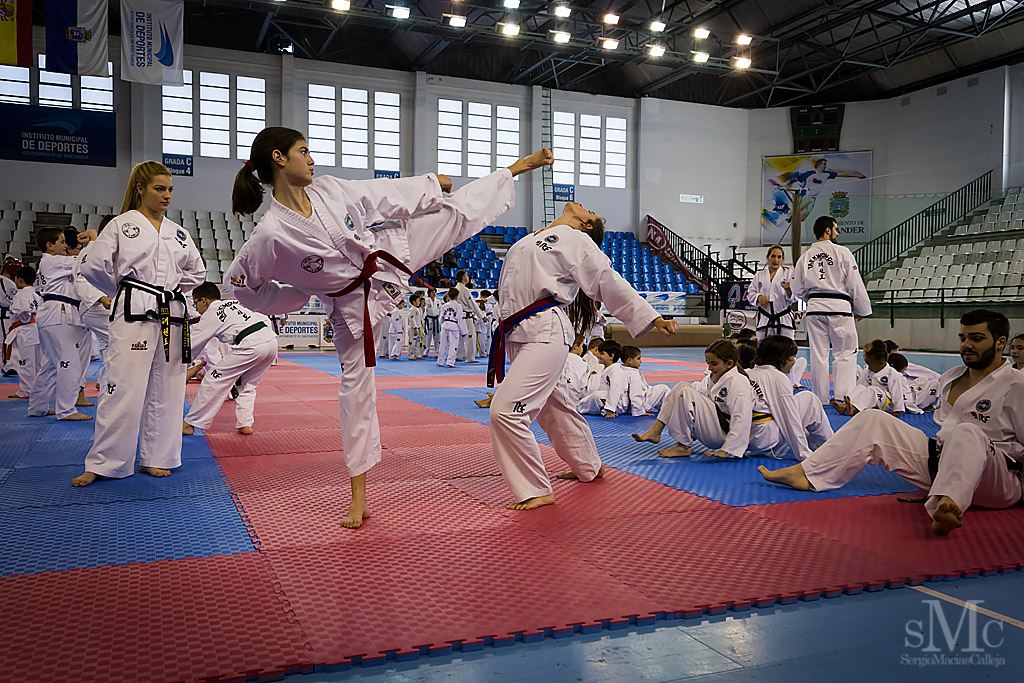 DIA DEL TAEKWONDO ABRIL 2017_3975.JPG